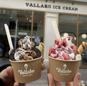 Gemini_Generated_Image_z8azvbz8azvbz8az